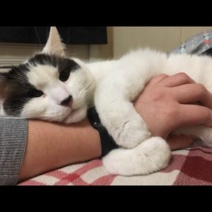 Meet your Posher, Carly